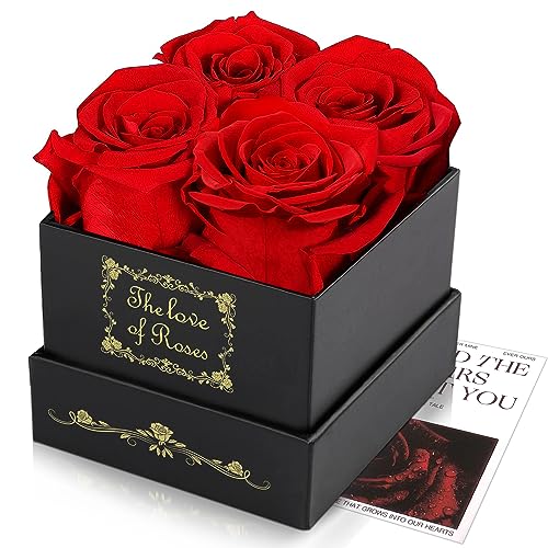 Ewige Rose Box, Geburtstagsgeschenke FüR Frauen, Geschenke FüR Mutter/Freundin/Ehefrau/Oma, Geburtstag, Valentinstag, Weihnacht