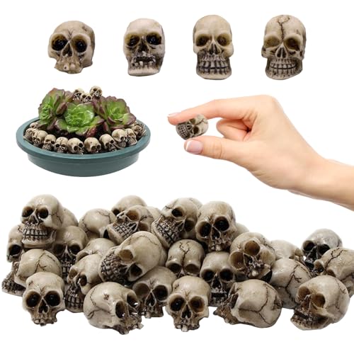 BYTLXM 20 Stück Mini Totenkopf Figuren, Mini Schädel Totenkopf Modell, Harz Totenkopf Set, Halloween Skelett Dekoration, Geeignet für Halloween, Horrorparty, Blumentopfdekoration, Spukhaus