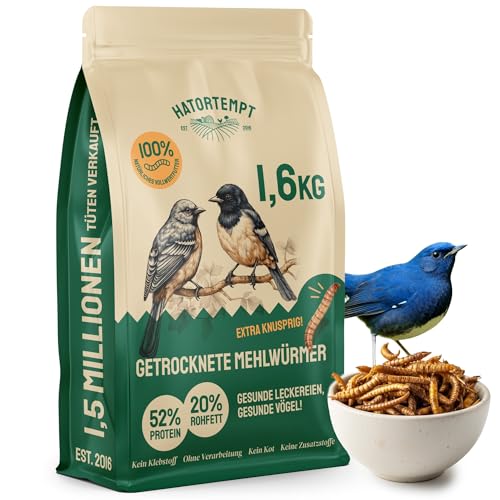 Hatortempt 10L Premium Mehlwürmer getrocknet - Non-GMO, Natürliches Vogelfutter Wildvögel ganzjährige Ernährung, trockene Würmer für Vögel, Hamster 1.6 kg