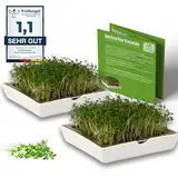 growpowr® - Kresse ANZUCHTSCHALEN || 2X Keramikschale mit 2X Kressesieb | Keimschalen auch für 7 weitere Sprossen geeignet | Kresseschale | kress | Kresse Schalen | Keimschalen für Kresse | cress