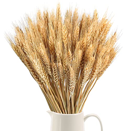 SLFYEE 100pcs Getrocknete Blumen Weizen Natürliche Trockenblumen Deko Getrocknete Weizen Blumen für Hochzeit Mittelstücke Zuhause Balkon Party Tisch Vase Weihnachten Deko 40cm