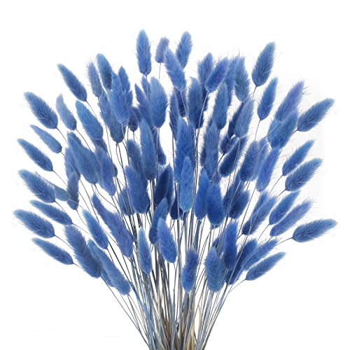 SLFYEE 120 Pcs Trockenblumen Klein Pampasgras Natürliche Getrocknet Blumen Getrocknetes Schilfgras Klein für Hochzeit Hause Party Wedding Büro Fotografie Vase Deko Blau