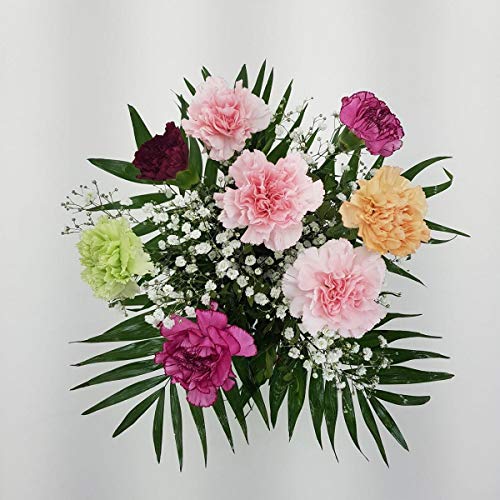 Blumenstrauß -klassischer Nelkentraum- mit kostenloser Glückwunschkarte/handgeschrieben