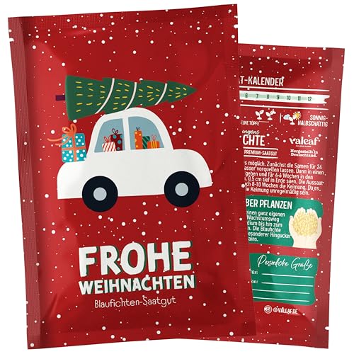 valeaf Dein Weihnachtsbaum zum Pflanzen I Blaufichte Samen I dein Baum 2030 I tolles Geschenk, Wichtelgeschenk u Adventskalender Füllung I Christbaum Tannenbaum Samen mit valeaf Samen