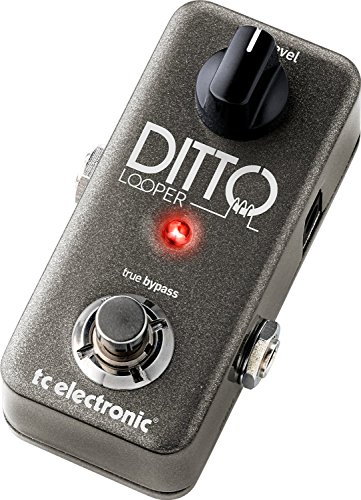 TC Electronic DITTO LOOPER Intuitives Looper-Pedal mit 5 Minuten Looping-Zeit, Analog-Dry-Through und True Bypass