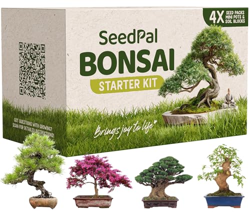 SeedPal Easy Bonsai Starter Kit - Bonsai Anzuchtset 4 versch. Bonsai Samen - Züchte deinen wunderschönen Bonsai Baum - Nachhaltiges Geschenkset/Pflanzset inkl. Anleitung & Zubehör