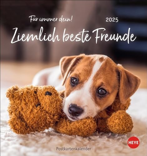 Ziemlich beste Freunde Postkartenkalender 2025 - Für immer dein: Postkarten-Fotokalender mit Hunden und ihren Lieblingsstofftieren. Kleiner Kalender ... lustiger Sprüche. (Postkartenkalender Heye)