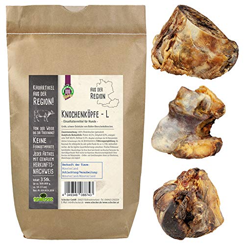 Schecker Knochenköpfe 3 x 500-800 gr Aus der Region große, schwere Endstücke von Bullen Oberschenkelknochen