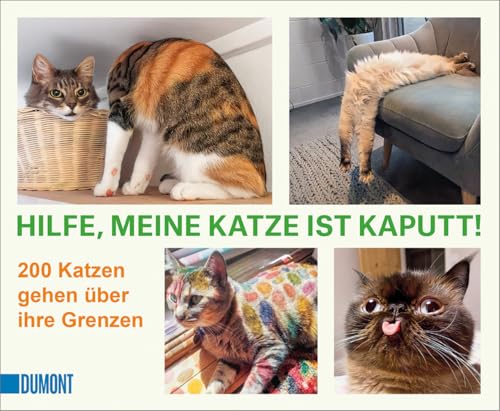 Hilfe, meine Katze ist kaputt: 200 Katzen gehen über ihre Grenzen ((Fast) immer lustig, Band 12)