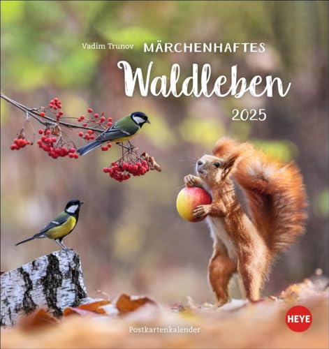 Vadim Trunov: Märchenhaftes Waldleben Postkartenkalender 2025: Der Tierfotograf fängt den Zauber der Waldtiere in seinen atemberaubenden Bildern ein. Süßer Tierkalender 2025. (Postkartenkalender Heye)