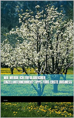 Wie werde ich erfolgreicher Einzelunternehmer? Tipps fürs erste Business