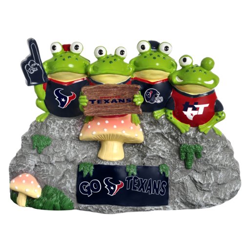 Houston Texans Frosch Fan Bank