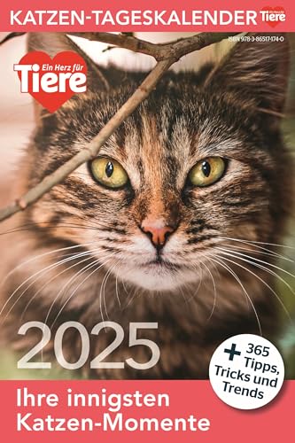 Ein Herz für Tiere: Katzen Tageskalender 2025 (Tischkalender, Wandkalender)