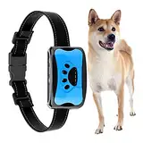 Halsbänder für Hunde,Hundehalsband Tierfreundliches Automatisierung,Klassisches Geeignet für alle Größen von großen und kleinen Hunden (r)