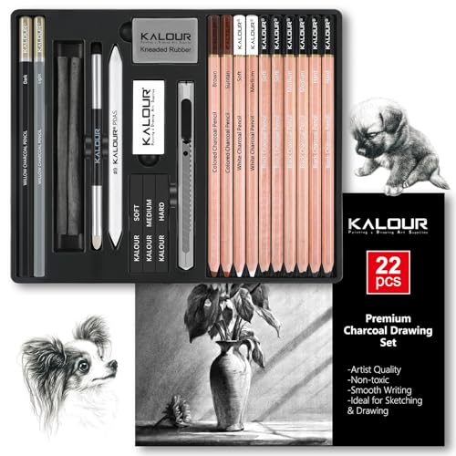 KALOUR PDAS 22-teiliges Zeichenkohle-Set, Professionelles Kunstzubehör, Schwarze und Weiße Kohlebleistifte zum Zeichnen, Skizzieren, Schattieren und Verblenden, für Anfänger und erfahrene Künstler