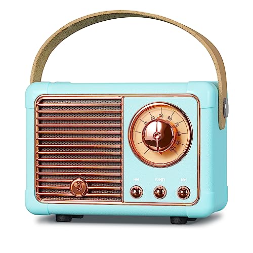 PRUNUS J-999 Mini Bluetooth Lautsprecher mit Radio FM, Retro Radio Bluetooth Speaker Wiederaufladbarer,Bluetooth 5.0/Überragend guter Klang, unterstützt USB/TF/AUX/Freisprechanrufe(Blau)