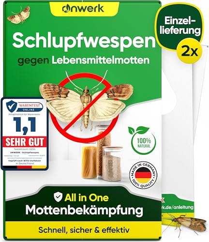 anwerk® Schlupfwespen gegen Lebensmittelmotten - 2 Karten à 1 Lieferung - Effektiv Lebensmittel Motten bekämpfen - Alternative zur Mottenfalle, Mottenspray, Pheromonfalle (2X Karten à 1 Lieferung)