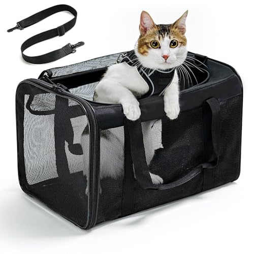 Conlun Katzentransportbox,Weiche Katzentransporttasche mit 4-seitigem Netz, Flugzeugtaugliche Katzentasche für Kleine&Mittelgroße Katze Kätzchen Welpen bis 6 Kg, Hundetransportbox Faltbar-M, Schwarz