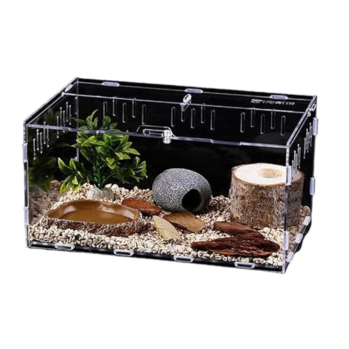 CiCixixi Schnecken Terrarium, 30 x 20 x 15 cm Acryl Terrarium Reptil Fütterungsbox Transparent Mini Terrarium Tragbarer Reptilien-Zuchtbox für Schnecken, Spinnen, Gecko, Chamäleon