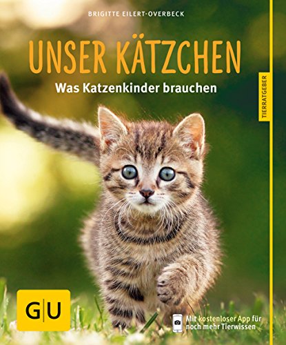 Unser Kätzchen: Was Katzenkinder brauchen