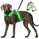 Visinite Led Hundegeschirr mit Licht, Hundegeschirr Leuchtend Aufladbar, 2 Beleuchtungsmodi Leuchtgeschirr füR Hunde, Einstellbares Beleuchtetes Hundegeschirr Licht FüR Sicherheit Beim Nachtgehen