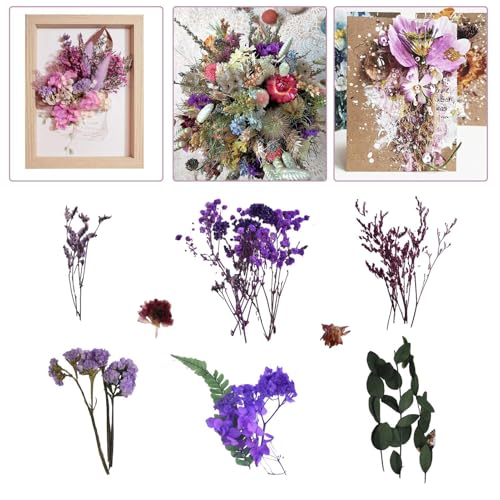 Natürliche Getrocknete Blumen, Trocken Gepresste Blumen, Getrocknete Blüten Für Handwerk, Natürliche Trockene Blüten Für Die Dekoration, Gemischte Mehrere Natürliche Blüten Blätter Blätter