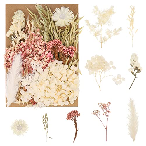 ALTcompluser Natürliche Getrocknete Blumen, Trockenblumen Set, für DIY Gepresste Blumen, Scrapbooking, DIY-Kerze, Schmuckanhänger Basteln(Gemischte Farbe)