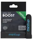 MintUp Inhalierstift BOOST - Aromastick mit ätherischen Ölen - Pfefferminze, Eukalyptus und Pinie - Riechstift für unterwegs zum Sport, Arbeiten und Reisen