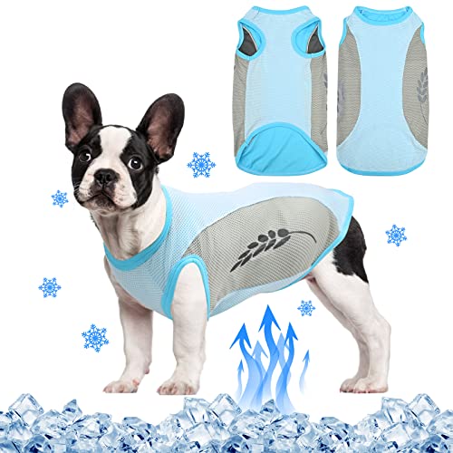 Hundekühlweste,Sommer Cool und Bequem Hundemantel Atmungsaktiv Mesh Hundejacke mit Reflektorstreifen,Leichte Hunde-Eis-Kühlung T-Shirts für kleine bis mittelgroße Hunde (XXL, Blau)