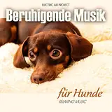 Beruhigende Musik für Hunde (Entspannung für Haustiere): Entspannung für Ihr Haustier