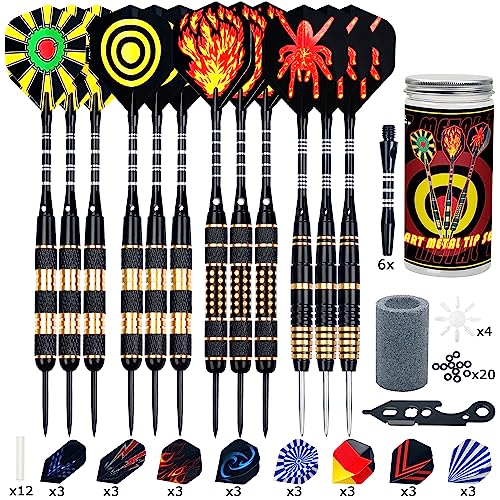 12 Stück Dartpfeile Metallspitze,20/24/26Gramm Profi Dartpfeile,Darts Sets mit Aluminium Schafts Flights Sharpener Beschützer Rubber O's Rings Multi Purpose Dart Tool