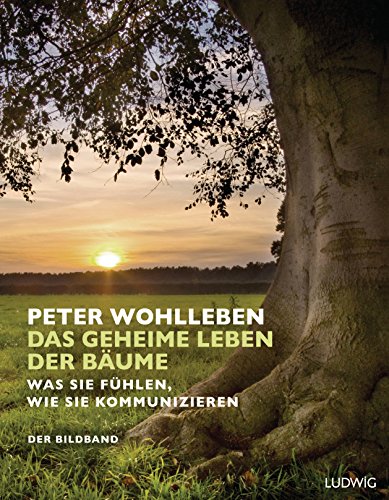 Das geheime Leben der Bäume: Was sie fühlen, wie sie kommunizieren. Der Bildband. Mit dem vollständigen Text der Originalausgabe