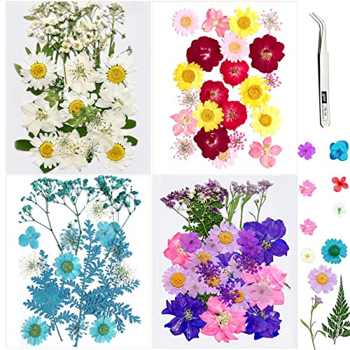 VEGCOO 110 Stück getrocknete Blumen, Set aus getrockneten Blumen, Naturblumen, mehrfarbig, gepresst, für Basteln, Kunstharz, Schmuck, Make-up, Dekoration, Nail Art