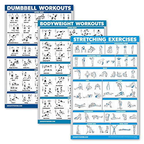 QUICKFIT Hanteltraining + Bodyweight Übungen + Stretching Routine Poster Set mit 3 Workouts (laminiert, 45,7 x 68,6 cm)