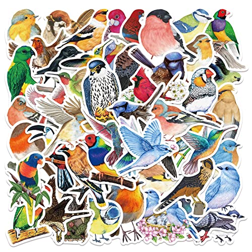 Bric Dodo 50 Stück Watercolor Bird Aufkleber Wasserflaschen Laptop Telefon Gitarre Skateboard Computer Kleine Vögel Vinyl Stickers Wasserdicht Ästhetisch Aufkleber für Jugendliche Kinder Erwachsene