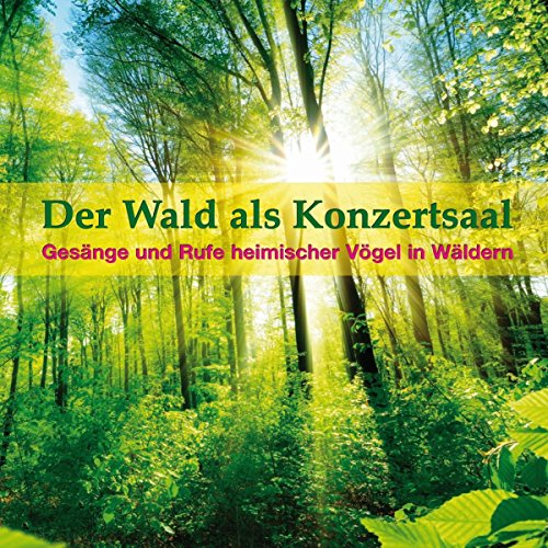 Der Wald Als Konzertsaal