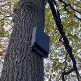 HASSELFELDT Fledermausspaltenkasten Dr. Nagel aus Holzbeton | Wetterfest | Fledermausquartier | Fledermauswochenstube | Sommerquartier | Fledermauskasten | Fledermaus-Haus | Selbstreinigend