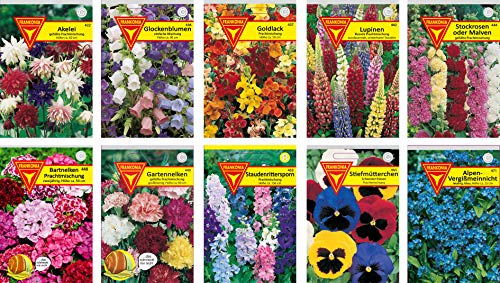 Blumen Samen Set: Sommerblumen-Paket / 10 verschiedene Sommerblumensorten/bunte Blumenwiese/Für Garten, Balkon und Hochbeet