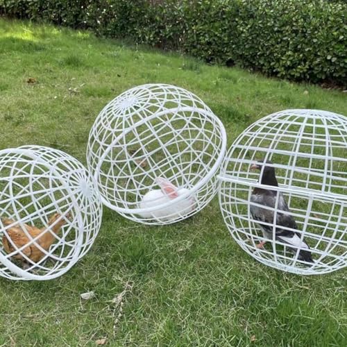 Huhn Rolling Ball Cage, 3 Stück Kugelförmiger Haustier Sicherheitskäfig Beweglicher, Kugelkäfig Hühner, Kugelförmiger Huhn Hamster Ballkäfig, Rollbarer Runder Hühnerkäfig, Käfighaus