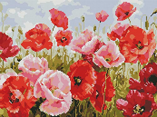 Gofission Kreuzstich Set Vorgedruckt Stickpackungen, Mohnblumen Rote Blumen 11ct Stickset 36x46cm mit Stoff Vorlagen für Erwachsene Anfänger