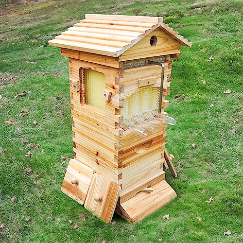 BeeHoneyFlow Mini-Bienenstock, Bienenhaus, mit 4 automatischen Super-Rähmchen, 6 Bruträhmchen, Imkerei, Bienenstöcke, Starter-Sets für die Imkerei