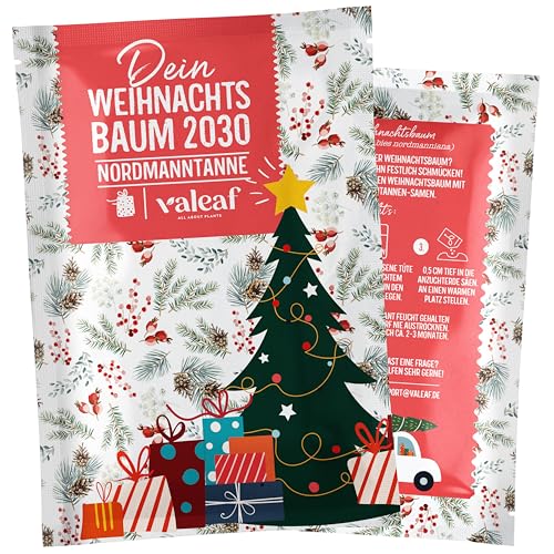 valeaf Weihnachtsbaum 2030 I Nordmanntanne Pflanzen Samen zum Weihnachtsbaum pflanzen I Weihnachtsbaum Samen ideal als Geschenk u. Wichtelgeschenk I Christbaum selbst pflanzen mit Tannenbaum Samen