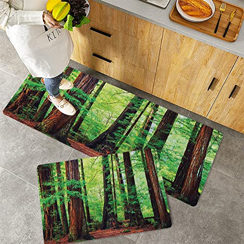 Küchenteppich Teppich Läufer Küchenläufer 2 Stück rutschfest,Tree Woodland, Redwood Trees Nordwestlicher Regenwald Tropisch Szenisch Wilde Natur Üppige, Waschbar für Flur Küche 40 x 100 cm+40 x 60 cm