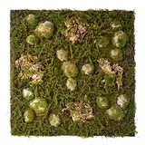 REPITERRA Terrarium Rückwand 3D Hintergrund Deko Naturlook Wald 58x58cm für Terrarien Ausbau