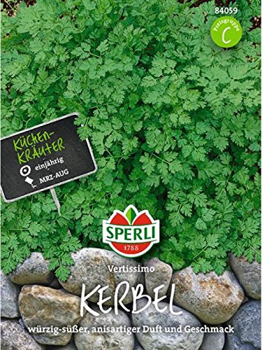 Sperli Saatgut, Kerbel (Topfkerbel), würzig-süß anisartiger Duft & Geschmack, ausreichend für ca. 100 Pflanzen