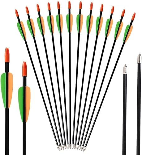 Toparchery 12er Fiberglaspfeile für Bogenschießen 28 Zoll Bogen Pfeil Übungspfeile Fiberglaspfeile für Anfänger Pfeil und Bogen Zielübung Spine 700