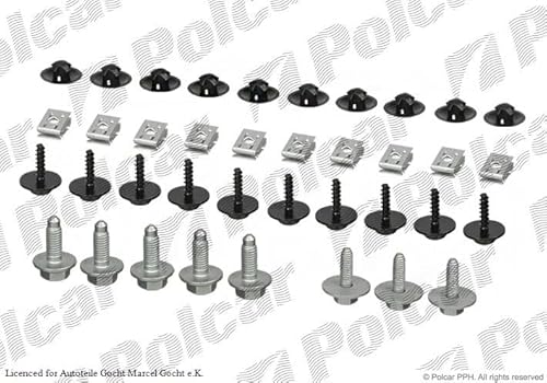 38-Teilig Einbausatz Unterfahrschutz Clips Kompatibel mit Audi Skoda VW Seat A3 + Cabrio + Sportback Octavia II + Combi Touran + VAN + Tiguan + VAN