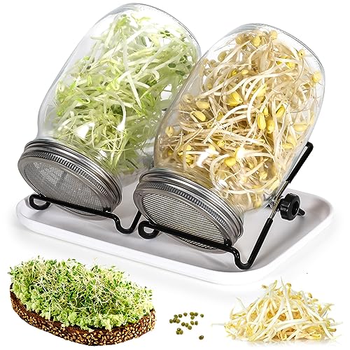 Cinnani Sprossenglas Keimglas 2er Set, 2 x 1000ml Sprossenglas mit 2 Edelstahl Deckel, 2 Einstellbare Halterung und 1 Tablett, Keimgerät Ideal für Alfalfa Brokkoli Radieschen Mungobohnen