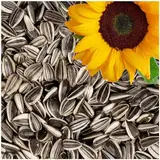 Lyra Pet® | 25 kg Sonnenblumenkerne Gestreift | Wildvogelfutter für Sommer & Winter | Ideal für Freilebende Vögel | Vogelfutter für das Ganze Jahr | Ölreiches Streufutter | Kräftige & Gesunde Schnäbel