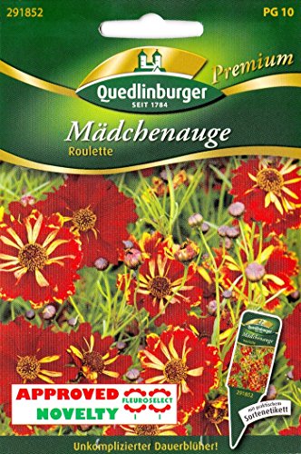 Mädchenauge, unkomplizierter Dauerblüher, Coreopsis tinctoria, ca. 50 Samen